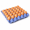 Medium Brown Eggs Tray-30