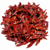 Guntur Chillies