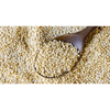Pearl Millet